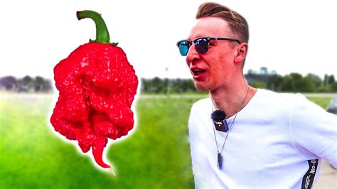 САМЫЙ ОСТРЫЙ ПЕРЕЦ В МИРЕ ПОПАЛ В НОС!!! КАРОЛИНА РИПЕР ЖЖЕТ!!! 2 ...