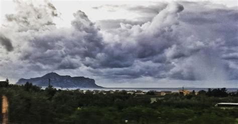 Maltempo Palermo Grosso Pino Cade E Sfonda Cancello