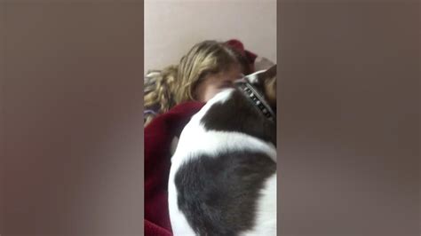 Чишка - мальчишка 🐶 - YouTube