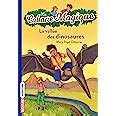 Amazon Fr La Cabane Magique Tome La Vall E Des Dinosaures Pope