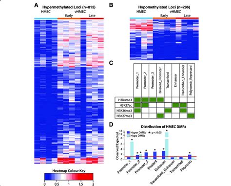 Summary Of Dna Methylation Profiling Of The Hmec Model System A The