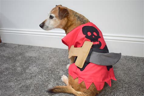 Dog Pirate Costume Sewing Pattern Bundle All Sizes S-L Dog - Etsy Australia