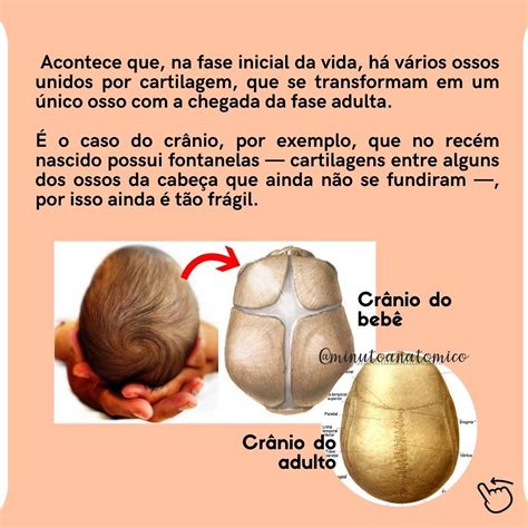 Quantos Ossos Tem O Corpo Humano Bebe - Minuto anatômico #121: Bebês têm mais ossos que adultos – Anatomia ...