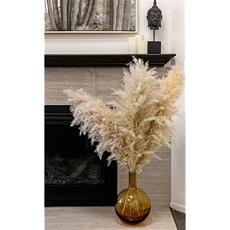 Buy Decor Geek Pampas Grass Large 3 Stems 4ft Tall Pampas Grass For