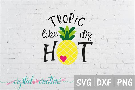 Tropic Like It S Hot Svg Dxf Png Cut Files Design Bundles