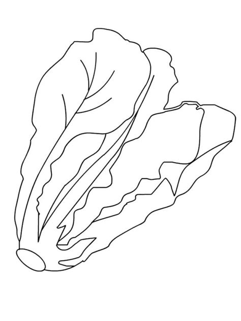Desene Cu Salata Verde De Colorat Imagini și Planșe De Colorat Cu
