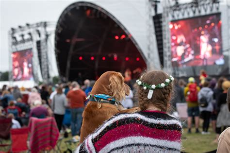 Dog Friendly Festivals In The Uk 2025 Were Going On An Adventure