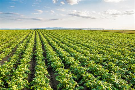 The Us Department Of Agriculture Announces The Agriculture Innovation