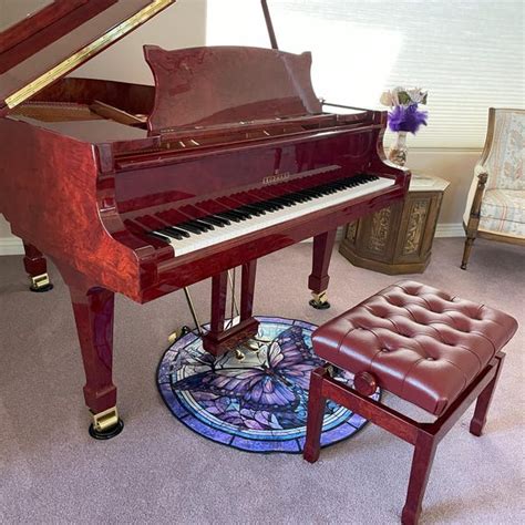 sun rug sunshine rug  rug circle rug bathmat rug doormat rug