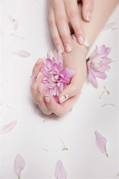 Hands Of Woman With Nude Manicure On Nails And Pink Flowers Stock Photo Image Of Isolated