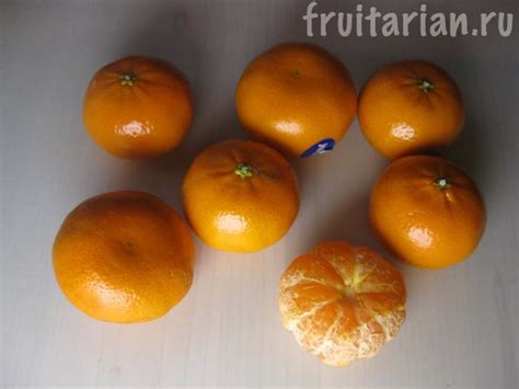 Мандарины Израиль, Аргентина, Китай, Турция