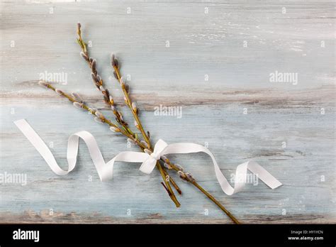 Traditional Easter Background Pussy Willow Branch With Ribbon On Blue Wooden Background Top