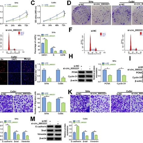 Knockdown Of Circ Inhibited The Progression Of Cervical Cancer