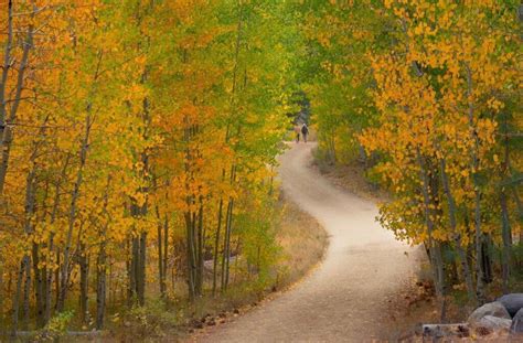 Lake Tahoe Fall Colors