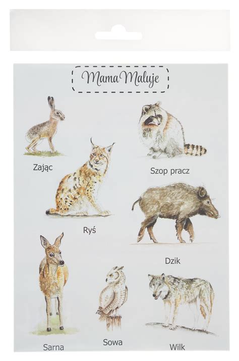 Naklejki Zwierzęta leśne 2 Mama Maluje