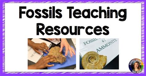 Fossils Lesson Plans Science Lessons That Rock In 2023 Fossils