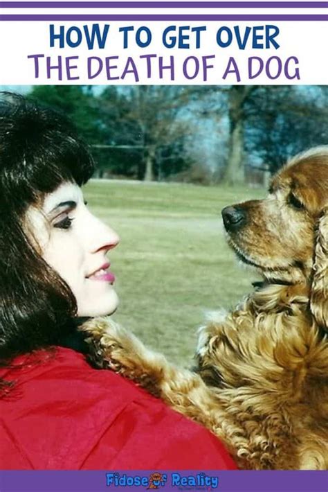 Paw Prints Left Behind: The Heartbreaking Journey Of Moving On