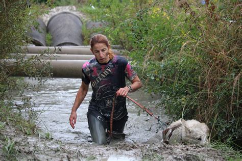 Kaolin dog race autumn 2022 | Bílý švýcarský ovčák
