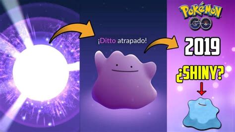 COMO CAPTURAR A DITTO FÁCILMENTE en 2019 ACTUALIZADO Y el SHINY