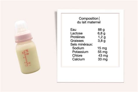 De quoi est Composé le Lait Maternel