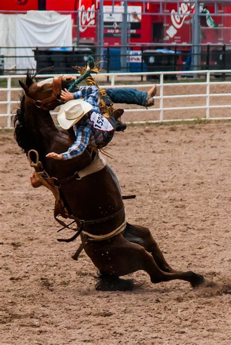 19 best Saddle Bronc Riding/Ranch Bronc Riding images on Pinterest ...