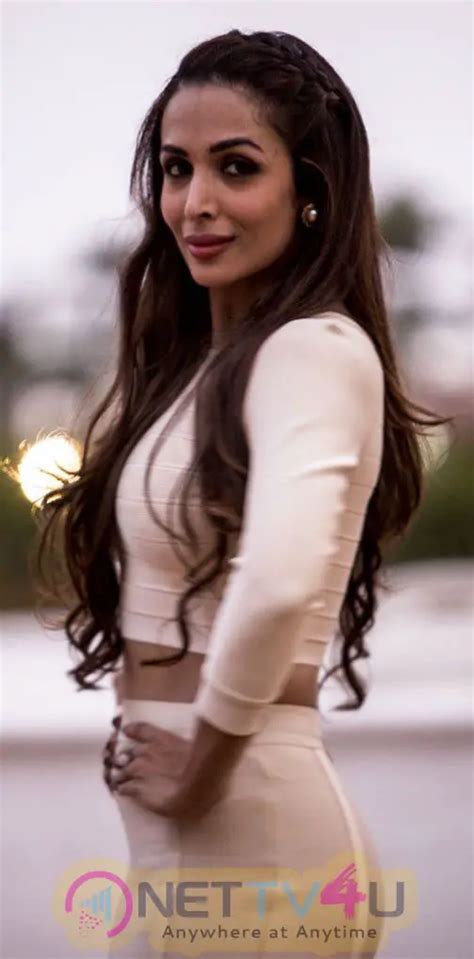 Hot And Sexy Malaika Arora Khan Best High Quality Images Galleries Hd Images