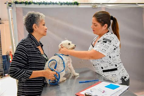 Municipio De Dur N Ofrece Servicios Veterinarios Gratuitos Sucre Noticias