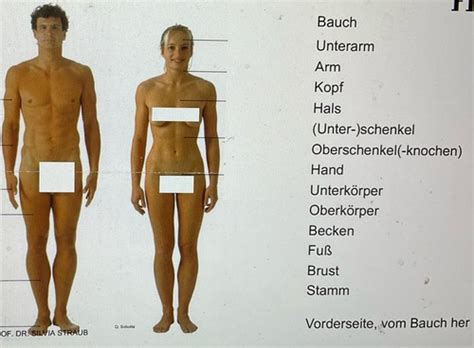 Terminologie Innere Medizin S1 Karteikarten Quizlet