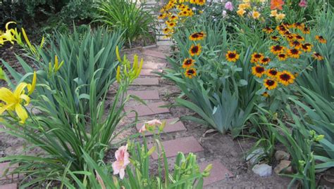 What Plants Are Best To Grow On A Sloped Area Blog GrowJoy