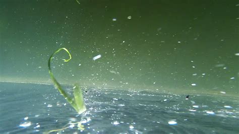 Под Водой - YouTube