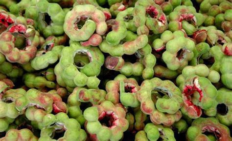 On Kamachile, Duhat and Sineguelas