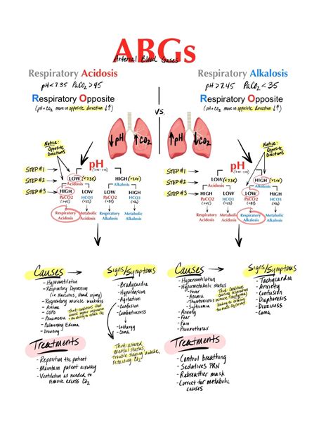 Respiratory Abg Nursing Notes Nur Studocu