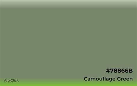 Camouflage Green Color Artyclick