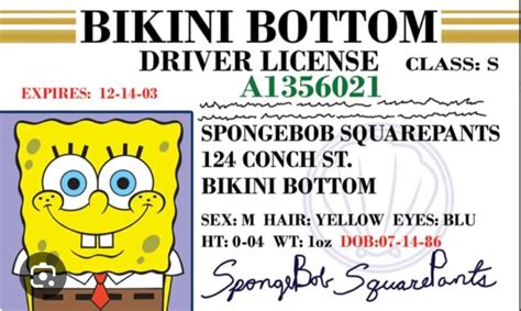 BIKINI BOTTOM DRIVER LICENSE EXPIRES 12 14 03 A1356021 SPONGEBOB SQUAREPANTS 124 CONCH ST