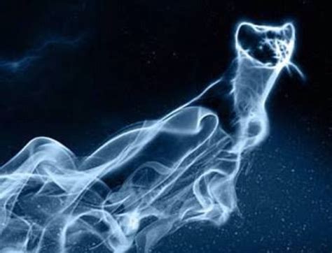 Ferret Patrunous Harry Potter Patronus Harry Potter Creatures Harry
