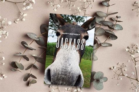 Printable Happy Birthday Jackass Card Digital Download Free Inside