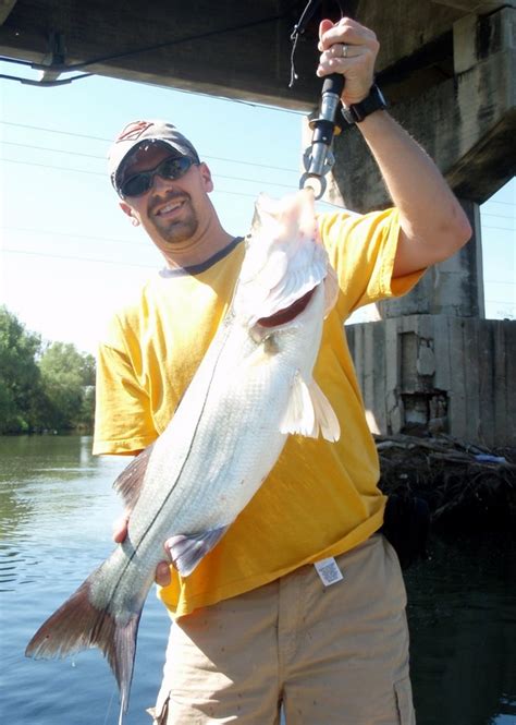 How to Catch Snook - Tips for Fishing for Snook