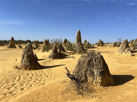 pinnacles desert nambung national park wa littlewanderingwren