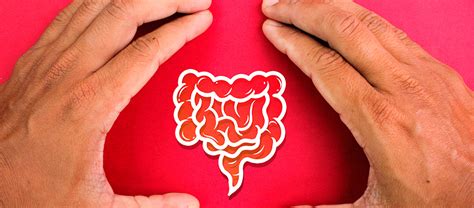 Relación entre colon irritable y hemorroides Proctolog