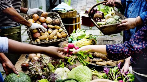 fruit vegetable production auburn university college  agriculture