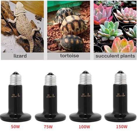 Best Pet Ceramic Infrared Heat Lamp Pet Small Animal For Winter Heating ...
