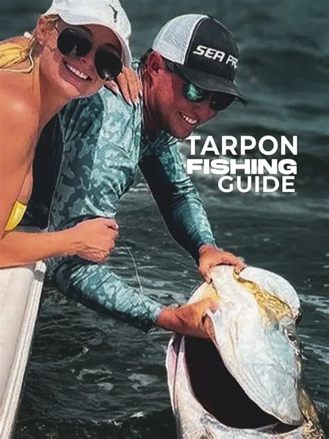 Tarpon Fishing In The Gulf Fishing Guides And Tips