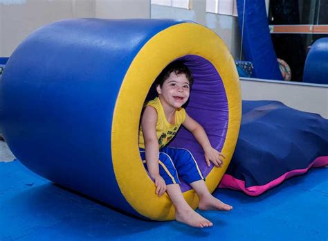 Cerca De __ De Brasileiros Têm Alguma Deficiência Intelectual