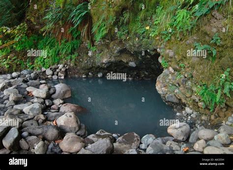 Hot Springs Mckenzie River Oregon