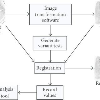 testing methodology  scientific diagram