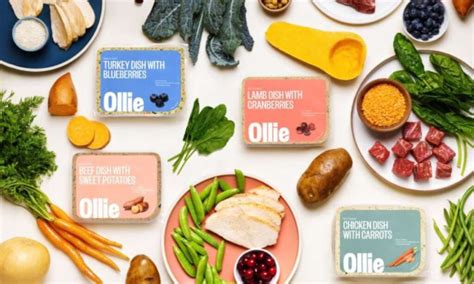 Can I Defrost Ollie Dog Food? - Ollie Dog Food USA