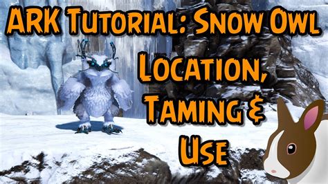 How To Tame And Use A Snow Owl In Ark Survival Evolved Pc Ps Xbox