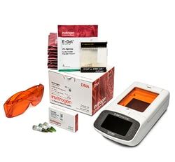 Invitrogen E Gel Power Snap Electrophoresis Device Starter Kit SYBR