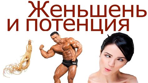 Влияние ЖЕНЬШЕНЯ на ПОТЕНЦИЮ. Использование КОРНЯ ЖЕНЬШЕНЯ при лечении ...