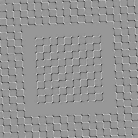 illusion  pattern crew